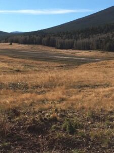 Surviving Drought Image